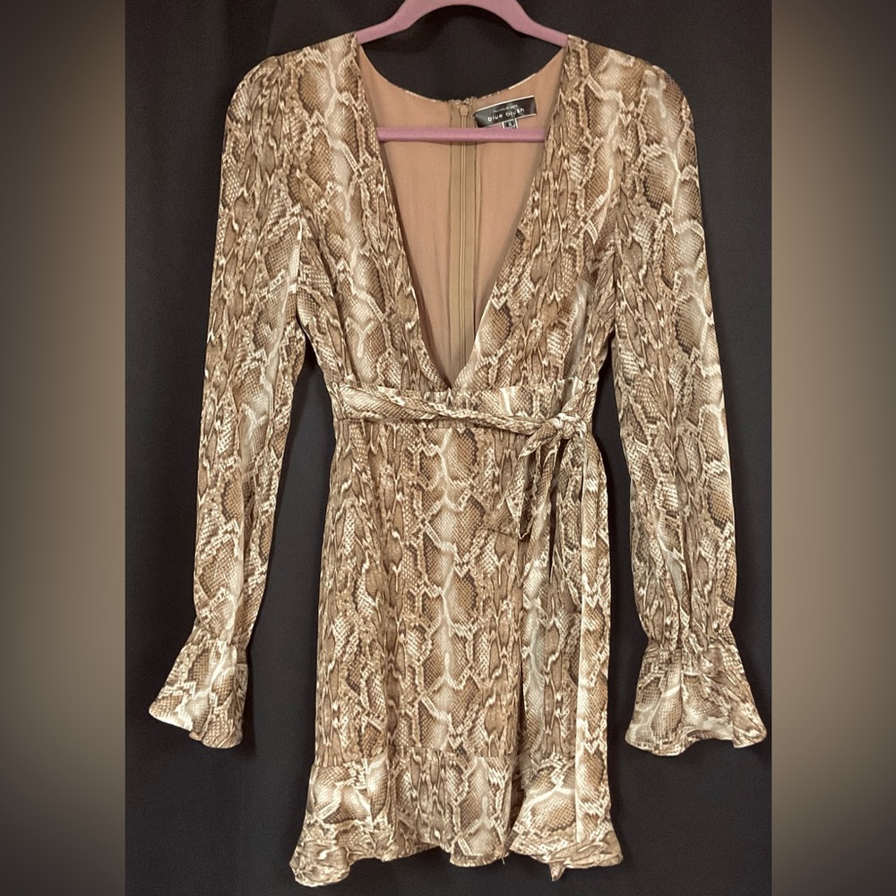 Snakeskin Print Long Sleeve Small Dress